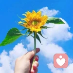 一世情緣?備注，【拒絕交友】的頭像