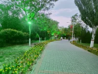 我們生活中常常會遇到許多不順心的事，遇到了就靜下心來慢慢處理就好了，因為著急是沒用的，什么時候有耐心了，人也就成熟了，被社會磨煉出來了，等到你真正能靜下來處理不如意的事情時會發現其實也沒有那么難。配圖
