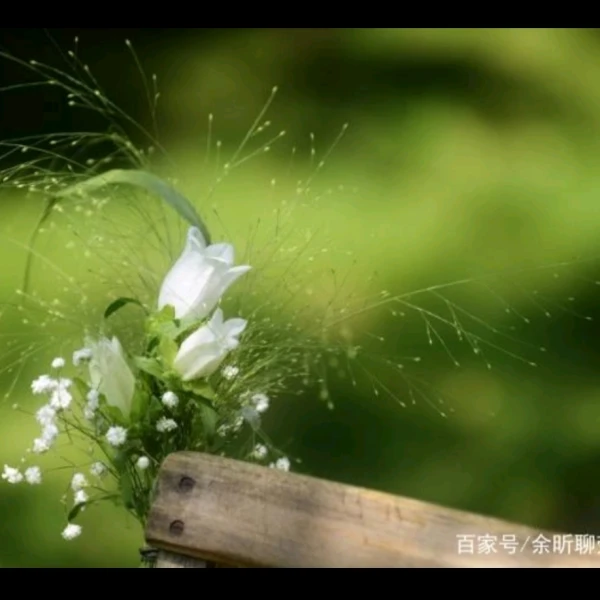 温暖心理