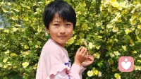 一棵松树的种子，不会因为你不剪它，就长成杨树。它的基因里，已经写好了它要成为的样子。你的孩子也是。他的灵魂里，写好了他的天赋、他的节奏、他这一世要成为的样子。\