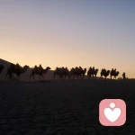 葵花心理的头像