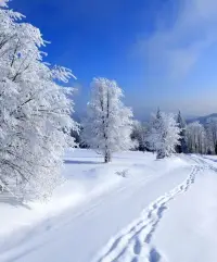 春花、秋月、夏日、冬雪，一年四季，世間萬物，各有各的風(fēng)景，各有各的美麗，人又何嘗不是如此呢？學(xué)會(huì)欣賞自己，肯定自己，活出自我，你就是一道風(fēng)景。配圖