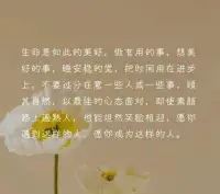 “你永遠不可能真正了解一個人，除非你穿上他的鞋子走來走去，站在他的角度思考問題?！翱烧娈斈阕哌^他的路時，你連路過都覺得難過?！坝袝r候，你所看到的的并非事實真相，你了解的不過是浮在冰山上的一角?！迸鋱D