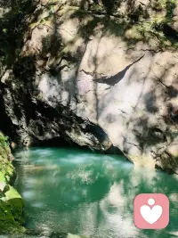 這是法國電影《蝴蝶》的片尾曲，覺得這歌詞有意思，為什么雞會下蛋？因為蛋都變成小雞，為什么情侶要親吻？因為鴿子們咕咕叫，為什么漂亮的花會凋謝？因為那是游戲的一部分，為什么會有魔鬼又會有上帝？是為了讓好奇的人有話可說，為什么木頭會在火里燃燒？是為了我們像毛毯一樣的暖，為什么大海會有低潮？是為了讓人們說：再來點，為什么太陽會消失？為了地球另一邊的裝飾，為什么會有魔鬼又會有上帝？是為了讓好奇的人有話可說，為什么狼要吃小羊？因為他們也要吃東西，為什么是烏龜和兔子跑？因為光跑沒什么用，為什么天使會有翅膀？為了讓我們相信有圣誕老人，為什么會有魔鬼又會有上帝?是為了讓好奇的人有話可說，你喜歡我們的旅行嗎？非常喜歡，我們看到了很多漂亮的東西，不是嗎？可惜我沒能看到蟋蟀，為什么是蟋蟀？還有蜻蜓，也許下一次吧，我能問你點事情嗎？又有什么事？我們繼續(xù)，不過由你來唱？絕對不可以，來吧，不不不，這是最后一段了，你是不是有點得寸進尺了呢？嗯呵~~為什么我們的心會滴答？因為雨會發(fā)出淅瀝聲，為什么時間會跑得這么快？是風把它都吹跑了，為什么你要我握著你的手？因為和你在一起，我感覺很溫暖，為什么會有魔鬼又會有上帝？是為了讓好奇的人有話可說。配圖