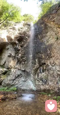 這是法國電影《蝴蝶》的片尾曲，覺得這歌詞有意思，為什么雞會下蛋？因為蛋都變成小雞，為什么情侶要親吻？因為鴿子們咕咕叫，為什么漂亮的花會凋謝？因為那是游戲的一部分，為什么會有魔鬼又會有上帝？是為了讓好奇的人有話可說，為什么木頭會在火里燃燒？是為了我們像毛毯一樣的暖，為什么大海會有低潮？是為了讓人們說：再來點，為什么太陽會消失？為了地球另一邊的裝飾，為什么會有魔鬼又會有上帝？是為了讓好奇的人有話可說，為什么狼要吃小羊？因為他們也要吃東西，為什么是烏龜和兔子跑？因為光跑沒什么用，為什么天使會有翅膀？為了讓我們相信有圣誕老人，為什么會有魔鬼又會有上帝?是為了讓好奇的人有話可說，你喜歡我們的旅行嗎？非常喜歡，我們看到了很多漂亮的東西，不是嗎？可惜我沒能看到蟋蟀，為什么是蟋蟀？還有蜻蜓，也許下一次吧，我能問你點事情嗎？又有什么事？我們繼續(xù)，不過由你來唱？絕對不可以，來吧，不不不，這是最后一段了，你是不是有點得寸進尺了呢？嗯呵~~為什么我們的心會滴答？因為雨會發(fā)出淅瀝聲，為什么時間會跑得這么快？是風把它都吹跑了，為什么你要我握著你的手？因為和你在一起，我感覺很溫暖，為什么會有魔鬼又會有上帝？是為了讓好奇的人有話可說。配圖