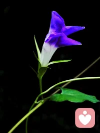 《還陜述懷》李世民慨然撫長劍，濟世豈邀名。星旗紛電舉，日羽肅天行。遍野屯萬騎，臨原駐五營。登山麾武節，背水縱神兵。在昔戎戈動，今來宇宙平。人為什么自卑呢？四，拿自己的經驗和別人比較，比如我們會在團隊里經常開展勞動競賽。然后選出一個勞模，也就是我們的榜樣，這時候人們會有兩種反應。一種是有人做的這么好，我也可以再努力做得更好，這就是榜樣的激勵作用。另外一種人會這樣想我怎么這么差勁呢我怎么，我真是太笨了，我不行。這就讓榜樣成了打擊自己的力量。解決辦法是看到自己的每一次進步，找到與榜樣的不足。首先肯定自己的進一步在激勵自己可以做得更好。五，拿自己的短處和別人的長處比，比如身高啦，長相啦，家庭出身背景等等。這些是不可改變的，不用比也不能比，解決辦法知道自己是什么是可以改變的，什么是不可以改變的。寬容不可改變的，積極去做可以改變的。六對自己要求十全十美總是很沮喪。解決辦法放下十全十美，要知道根本就沒有什么十全十美。發揮了你現有的能力就是最好。《與你在巔峰相會》配圖