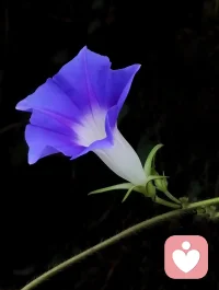 《還陜述懷》李世民慨然撫長劍，濟世豈邀名。星旗紛電舉，日羽肅天行。遍野屯萬騎，臨原駐五營。登山麾武節，背水縱神兵。在昔戎戈動，今來宇宙平。人為什么自卑呢？四，拿自己的經驗和別人比較，比如我們會在團隊里經常開展勞動競賽。然后選出一個勞模，也就是我們的榜樣，這時候人們會有兩種反應。一種是有人做的這么好，我也可以再努力做得更好，這就是榜樣的激勵作用。另外一種人會這樣想我怎么這么差勁呢我怎么，我真是太笨了，我不行。這就讓榜樣成了打擊自己的力量。解決辦法是看到自己的每一次進步，找到與榜樣的不足。首先肯定自己的進一步在激勵自己可以做得更好。五，拿自己的短處和別人的長處比，比如身高啦，長相啦，家庭出身背景等等。這些是不可改變的，不用比也不能比，解決辦法知道自己是什么是可以改變的，什么是不可以改變的。寬容不可改變的，積極去做可以改變的。六對自己要求十全十美總是很沮喪。解決辦法放下十全十美，要知道根本就沒有什么十全十美。發揮了你現有的能力就是最好。《與你在巔峰相會》配圖