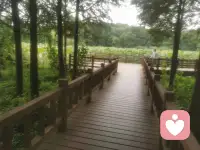 沒有無欲無求的人，只是在做自我的修行中，努力的做到淡然，少欲，不爭，放開，承受的，生活態度。配圖