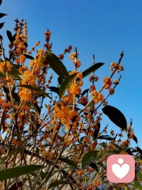 人生又像下餃子，無論是被拖下水，扔下水，還是自己跳下水，一生中不趟一次渾水就不算成熟。配圖