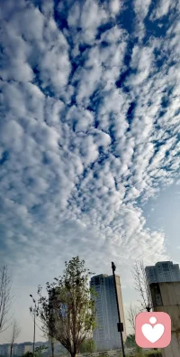 契訶夫說：人的一切都應該是干凈的，無論是面孔，衣裳，還是心靈，思想。配圖