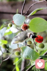 時(shí)間最為公平，誰的一天都是24個(gè)小時(shí)，差別只在珍惜。配圖