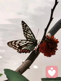 路好不好走，也許你不能決定，但走不走，卻只有你能決定配圖