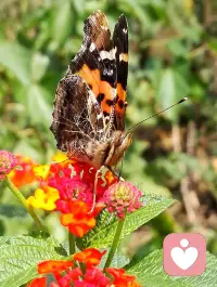 “我們常常聽到有人感嘆命運的不公，老天待我不公。其實我們每個人一生中都面臨著各種選擇，越是在困難和挫折中越能考驗一個人。”配圖