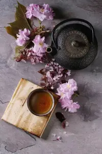 生活不是電影，好運(yùn)也不常有，努力過后，我們要做的，是淡然處之，坦然接受。配圖