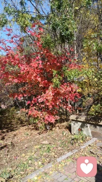 吃飯看似是件小事，但吃得講究，營(yíng)養(yǎng)從不將就，日復(fù)一日，生活會(huì)給每個(gè)好好吃飯的人帶來(lái)驚喜，屬于我們的福氣也會(huì)慢慢來(lái)～配圖