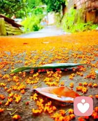 有些事，竭盡全力去做了，不用去想啥結(jié)果。有些人，真心實(shí)意付出了，不用惦記啥結(jié)局。配圖