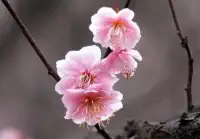 事實上，絕大多數人真的比機器落后太多了，而且絕大多數人的操作系統竟然從來不更新。我們手機的app，都在不斷的升級，人的大腦也一定需要升級的。配圖