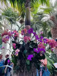 你是否陷入“只输出不输入”的怪圈？记住，持续学习才是高质量表达的根基！开放思维≠盲目接纳，要放下判断倾听，但只听可信之人。别执着于“自己的答案”，追寻真理才是终极目标。配图