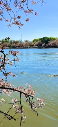焦慮痛苦多源于：不知想要什么、該妥協什么、需擔何責；太盯著結果。不如常叩問內心，專注成長——成敗皆是養分，走的每步都算數。配圖