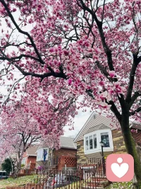 人生的路上，没有永远的一马平川，也没有一路的荆棘丛生；没有永远的鲜花，也没有永久的微笑；没有永远的波涛汹涌，也没有永久的风平浪静；没有永远的失败，更没有永远的成功；没有永远的俘虏，更没有永远的英雄。
多么美好的一天，祝您收获满满。配图