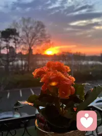 真正的爱不是让我们沉溺于某种感觉，而是让我们在关系中，成为更好、更强大的自己。