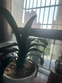 什么是心理的成長？就是邁過難邁的坎，克服不想克服的困難，經歷讓你難忘的經歷，感受讓你難過的感受配圖