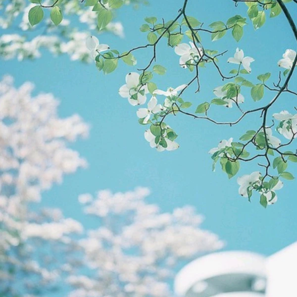 心妍·傾聽·心理