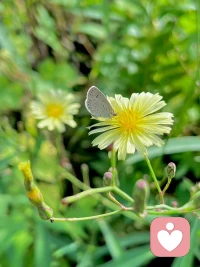 和諧，共生！配圖