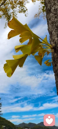 立冬，注意保暖配圖