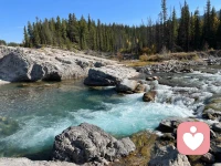 沒人一直等你，一直陪你，風生水起靠自己。配圖