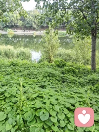 你從80樓往下看，全是美景，但你從2樓往下看，全是垃圾，人若沒有高度，看到的全是問題，人若沒有格局，看到的全是雞毛蒜皮。配圖