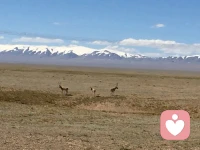 對于每個人來說，學會愛自己是找回自信的根源，那么我們要如何地做呢，最重要的是學會真正的無條件愛自己。配圖