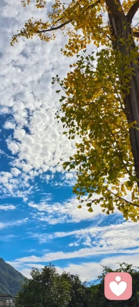 討好是人際界限不清的表現配圖