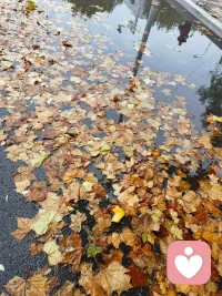 對他人的私事不關心，不介入，允許他人的道德觀、生活方式和自己不同，這將消除世上90%以上的煩惱配圖