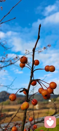 壞心情總會過去，樂觀一點，開心一點，只要活著一定會遇上好事配圖