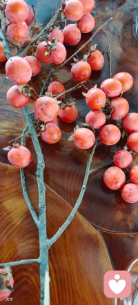 别总因为迁就别人就委屈自己，这个世界没几个人值得你总弯腰。弯腰的时间久了，只会让人习惯于你的低姿态，你的不重要。配图