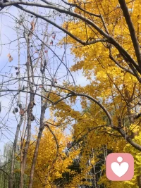 你要逼自己優秀，然后驕傲地活著，不委曲求全，不趨炎附勢，不給別人任何踐踏自己的機會！配圖