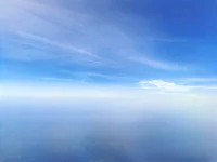 心向陽光，處處春暖花開配圖