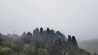 生命中最偉大的光輝不在于永不墜落，而是墜落后總能再度升起。配圖