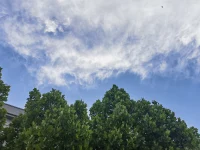 不要急于求成，只要一點一點去做，一步步去走，成功不過是水到渠成配圖