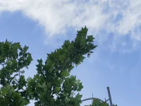 真正的智慧是接納，外不起紛爭，內(nèi)不生對立；不與天斗，不與人爭，不和自己鬧別扭。配圖