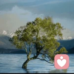 行者无疆的头像