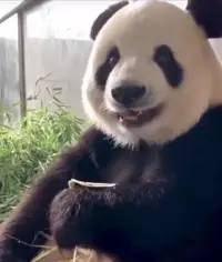 簡(jiǎn)單生活
簡(jiǎn)單快樂(lè)配圖