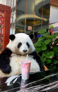 你多學一樣本事，就少說一句求人的話。沒有人能打倒你，除了你自己，你要學會捂上自己的耳朵，不去聽那些熙熙攘攘的聲音。這個世界上沒有不苦逼的人，真正能治愈自己的，只有你自己。配圖