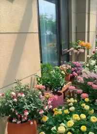 我一直都相信：愛對任何人來說都是美好的，包括花草。被無條件的愛包圍，心深處有無盡的愛。愛是絢爛奪目的發(fā)光體，可以傳遞出無窮的智慧。配圖
