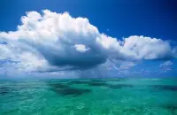 不盲信權威：權威確實具有很大的影響力和發言權，可這并不意味著權威就都是對的。尤其是現有社會很多自體組織的機構大師類，多到無法辨別其真正能力。無論什么時候，都要以客觀的思維去分析權威的言語或指令，進而得出自己的結論。以免給自己增加沒有必要的經濟損失和心理壓力。配圖