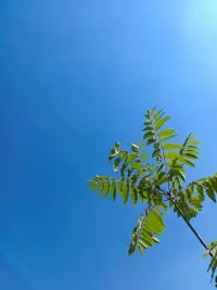 早??
心態安好
則幸福長存配圖