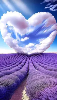 活在當(dāng)下
修己心身配圖