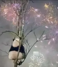 生活中的不同时刻带给我们不同的感激的理由。当你拥有它的时候，捕捉到你所拥有的对象，即为礼物。配图