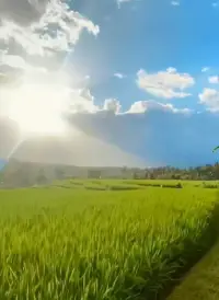 心理學(xué)上有個(gè)概念叫“心理可視性”，從親密關(guān)系的角度去解讀，就是指：喜歡上一個(gè)人的本質(zhì)，往往是因?yàn)槲覀冊(cè)趯?duì)方身上看見(jiàn)了自己的影子。換句話說(shuō)，我們遲遲未能進(jìn)入親密關(guān)系，往往是因?yàn)闆](méi)遇到和自己合拍的那個(gè)人。不同的人，對(duì)待感情的態(tài)度也是不一樣的，人們心目中的理想愛(ài)情也并非只有一個(gè)標(biāo)準(zhǔn)答案。而感情觀不同的兩個(gè)人在一起很難長(zhǎng)久。配圖